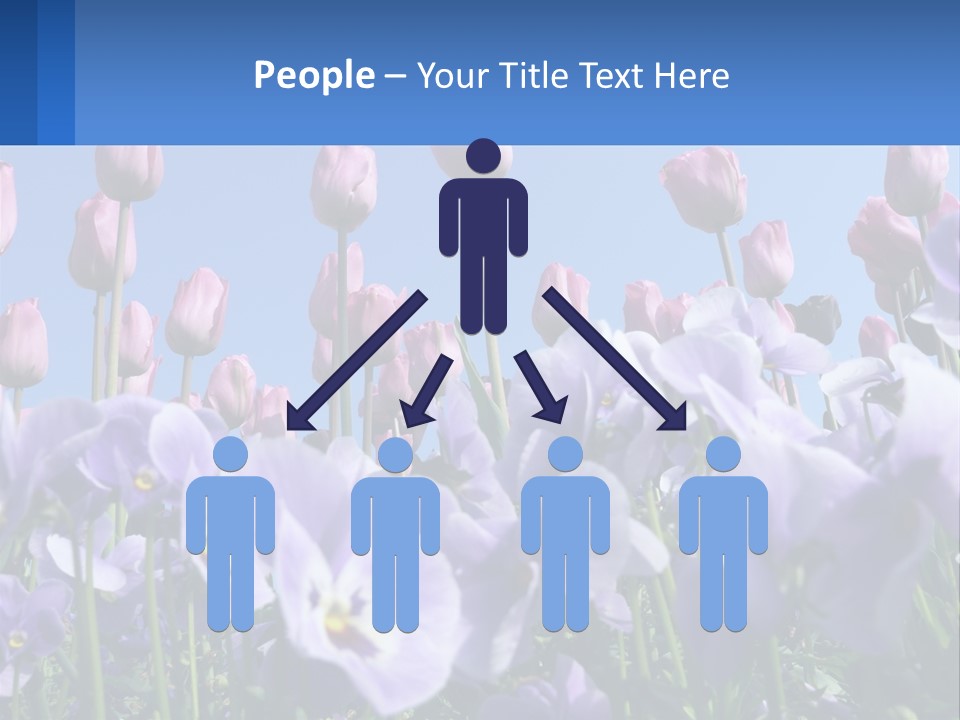 Climate Energy Home PowerPoint Template