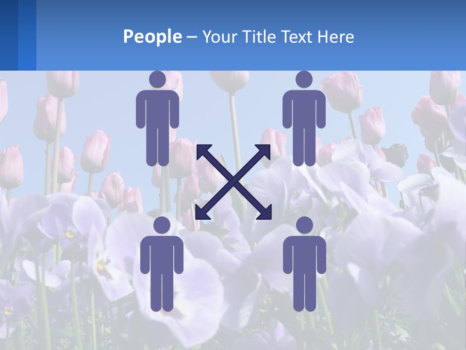 Climate Energy Home PowerPoint Template