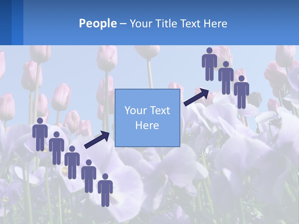 Climate Energy Home PowerPoint Template