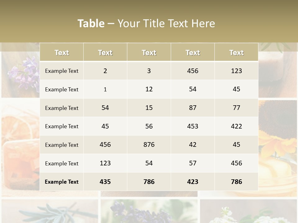 Conditioner Cool Air PowerPoint Template