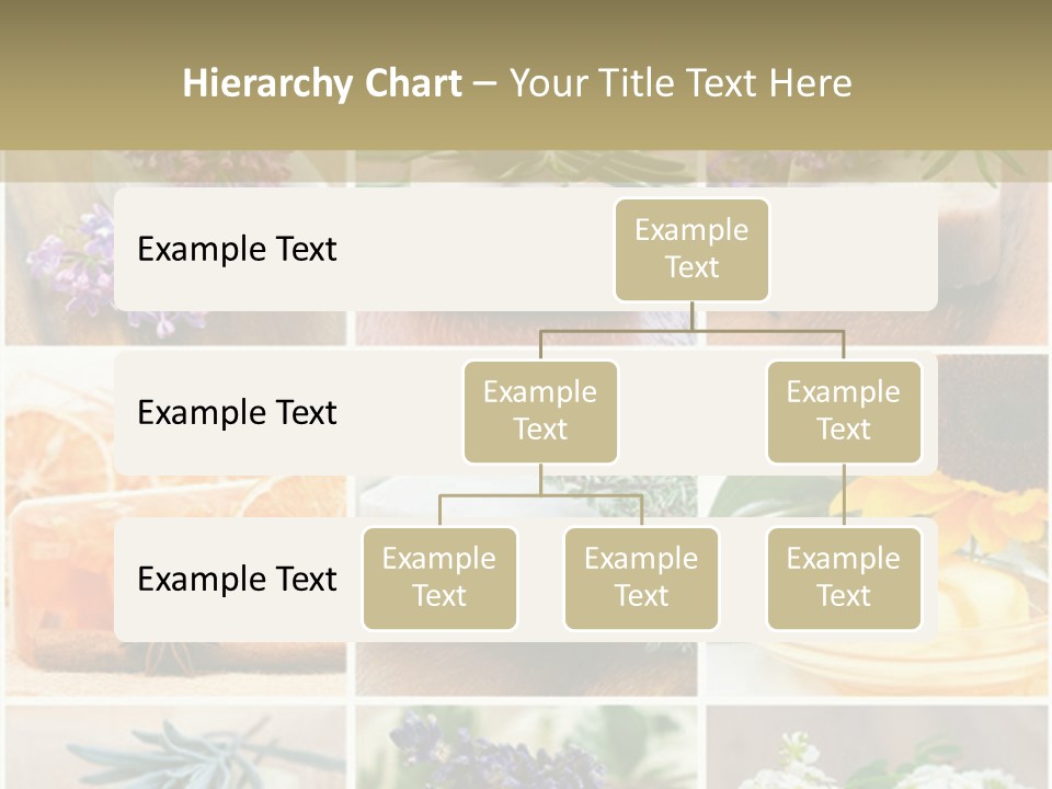 Conditioner Cool Air PowerPoint Template