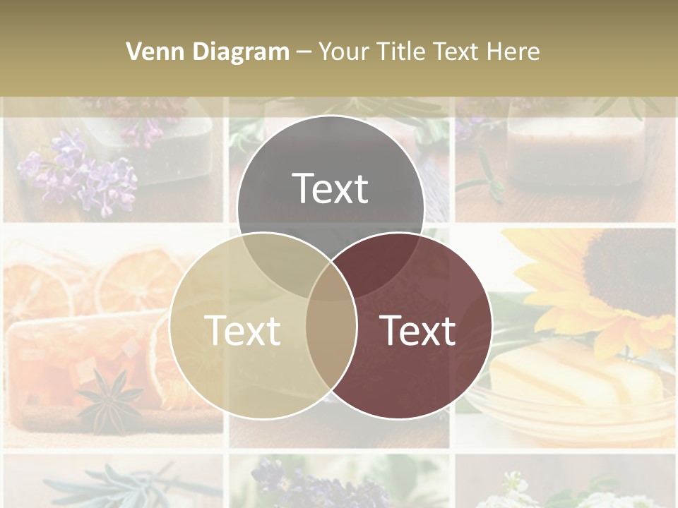 Conditioner Cool Air PowerPoint Template