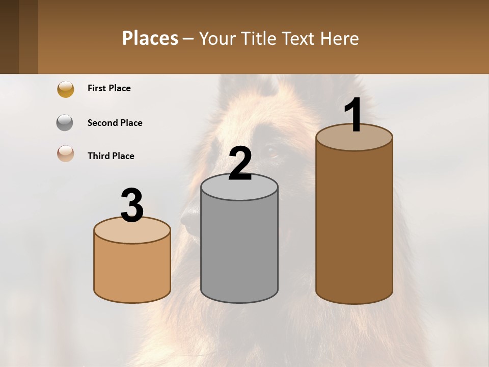 House Cooling Cold PowerPoint Template