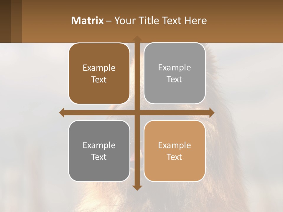 House Cooling Cold PowerPoint Template