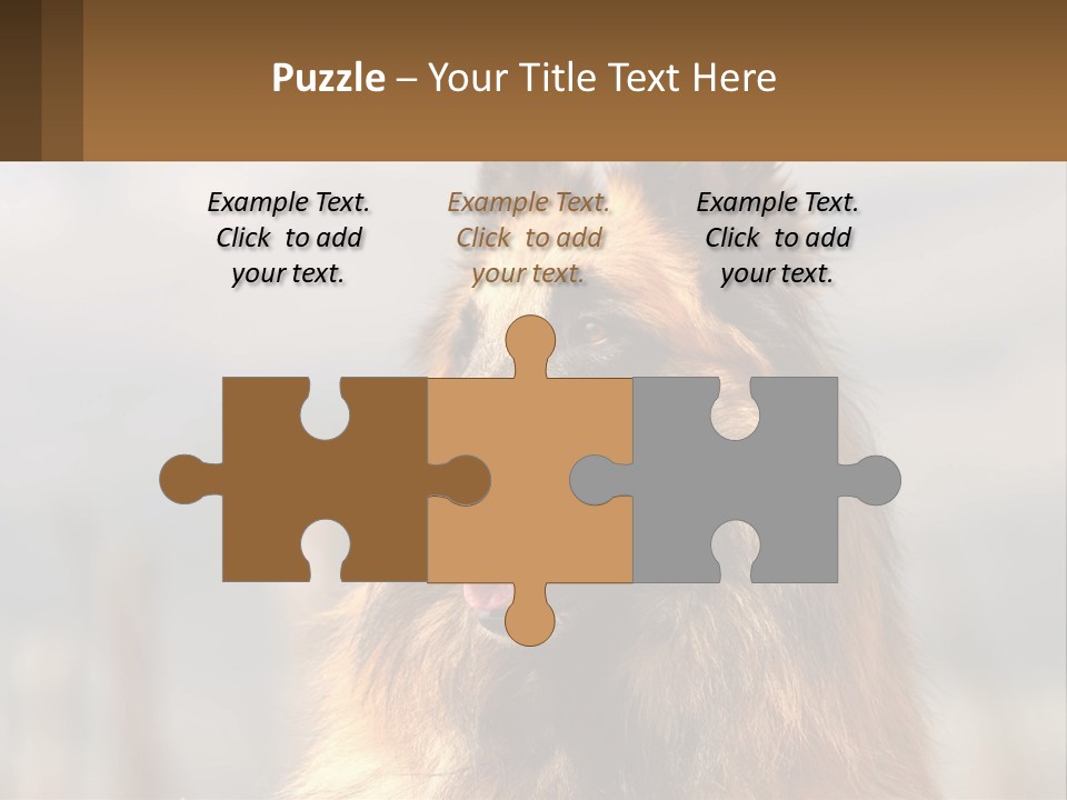 House Cooling Cold PowerPoint Template