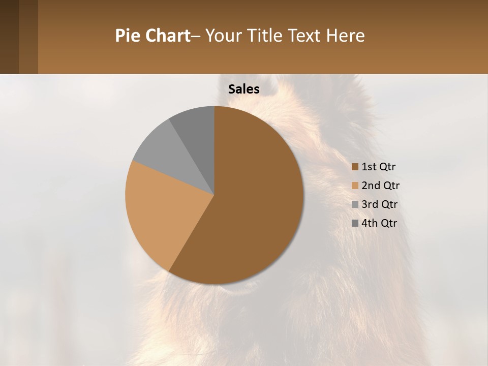 House Cooling Cold PowerPoint Template