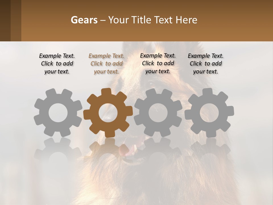 House Cooling Cold PowerPoint Template