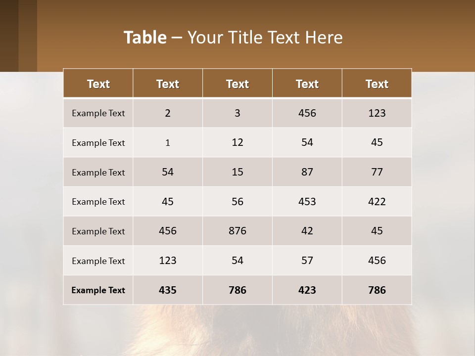 House Cooling Cold PowerPoint Template
