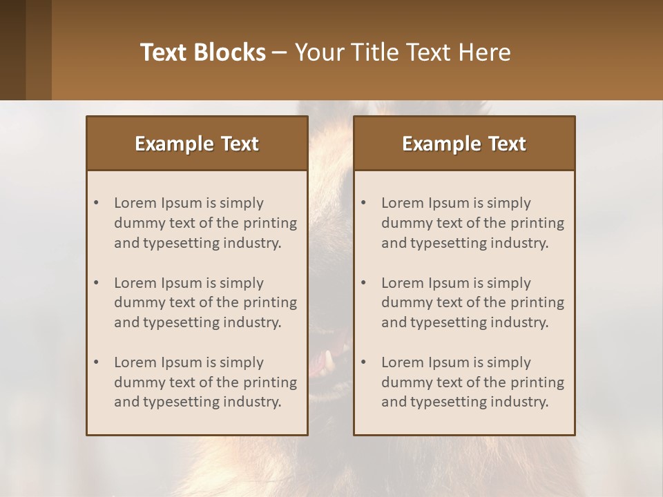 House Cooling Cold PowerPoint Template