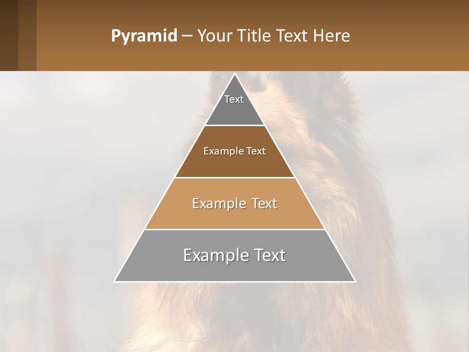 House Cooling Cold PowerPoint Template
