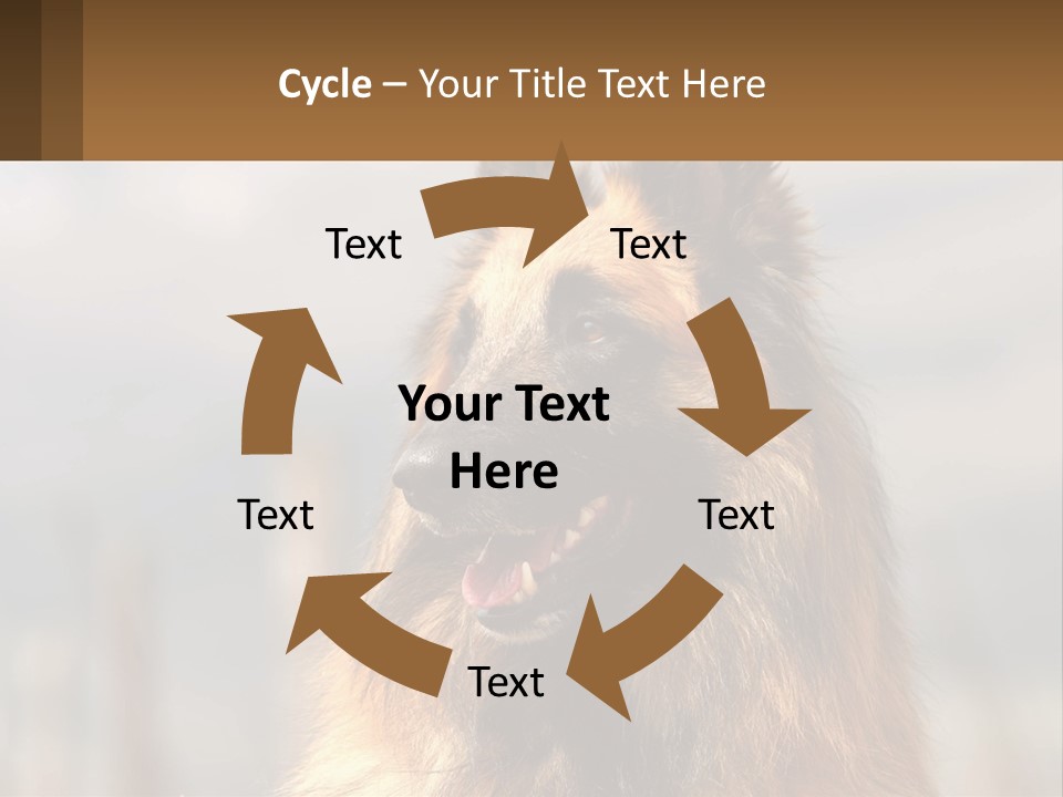 House Cooling Cold PowerPoint Template