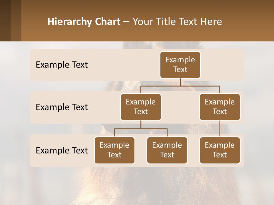 House Cooling Cold PowerPoint Template