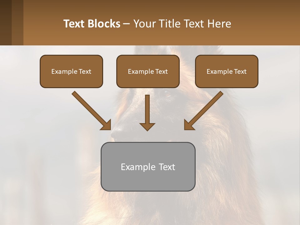 House Cooling Cold PowerPoint Template