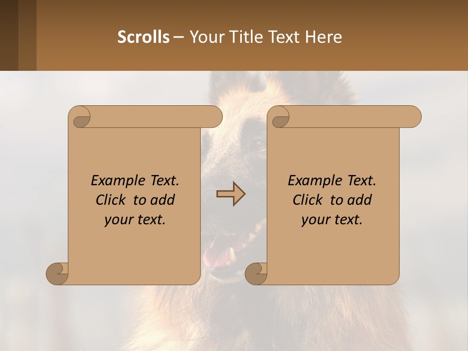 House Cooling Cold PowerPoint Template