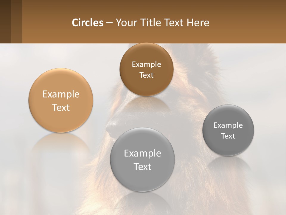 House Cooling Cold PowerPoint Template