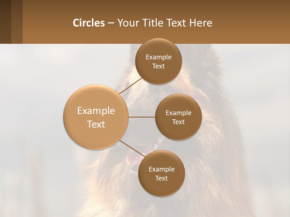 House Cooling Cold PowerPoint Template