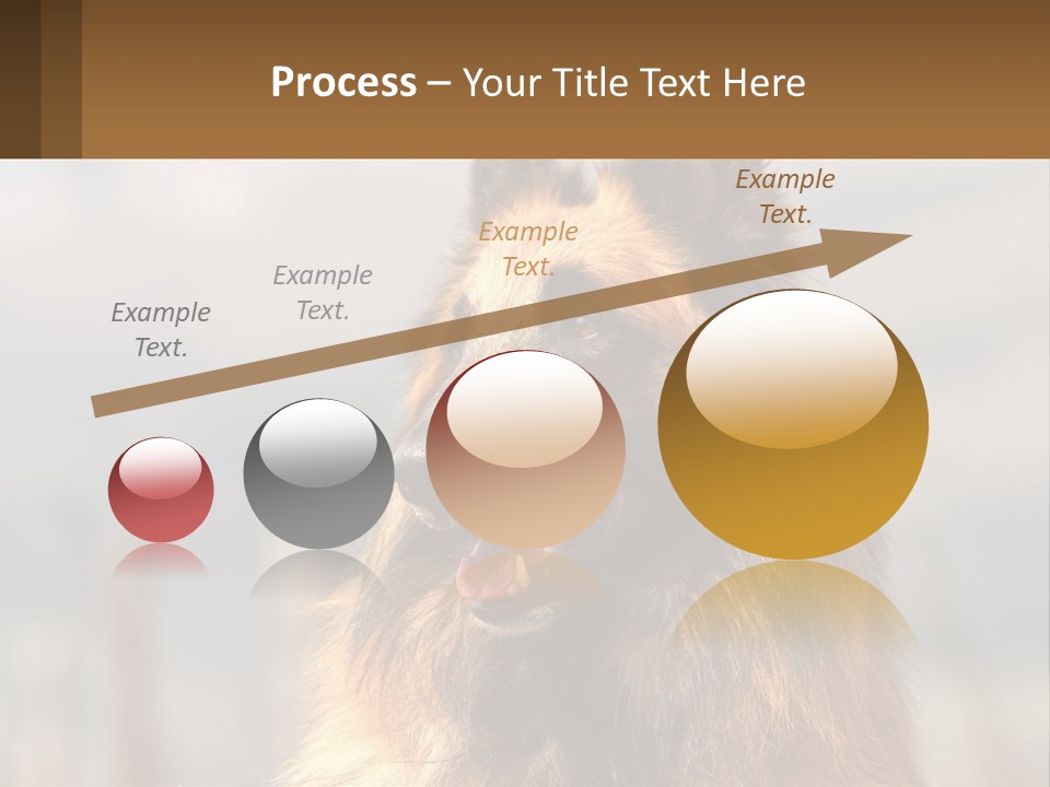 House Cooling Cold PowerPoint Template
