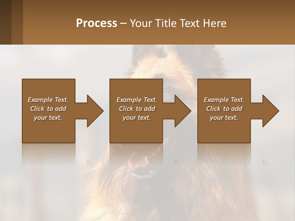 House Cooling Cold PowerPoint Template