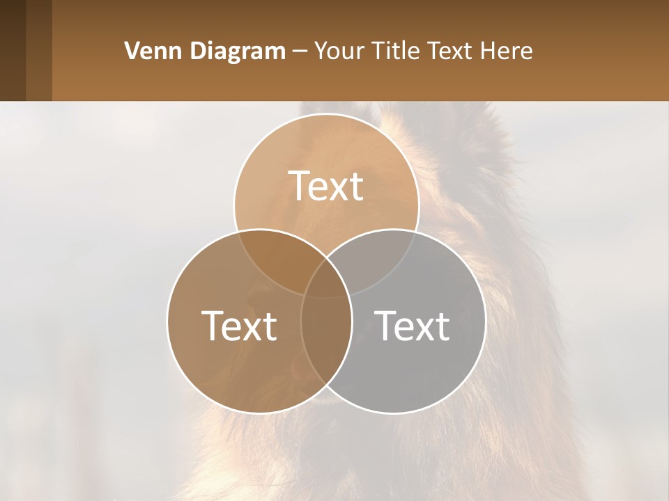 House Cooling Cold PowerPoint Template