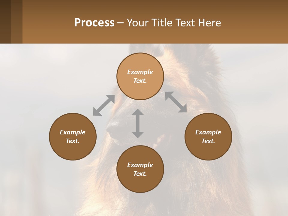 House Cooling Cold PowerPoint Template