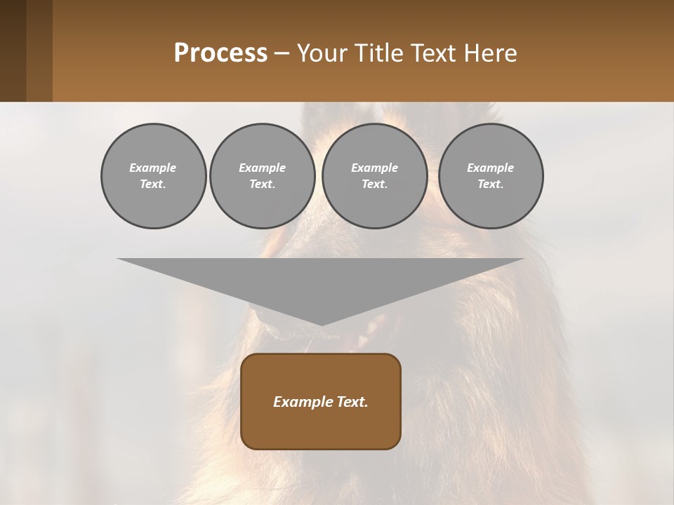 House Cooling Cold PowerPoint Template