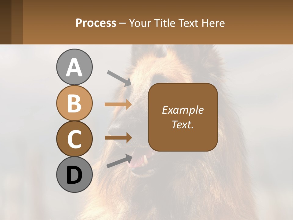 House Cooling Cold PowerPoint Template