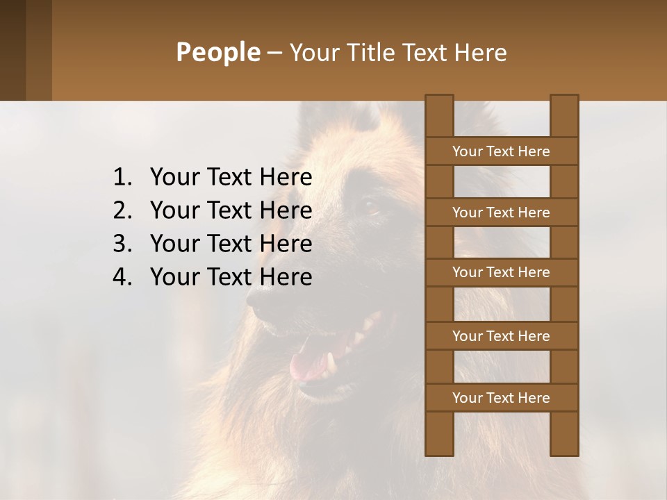 House Cooling Cold PowerPoint Template
