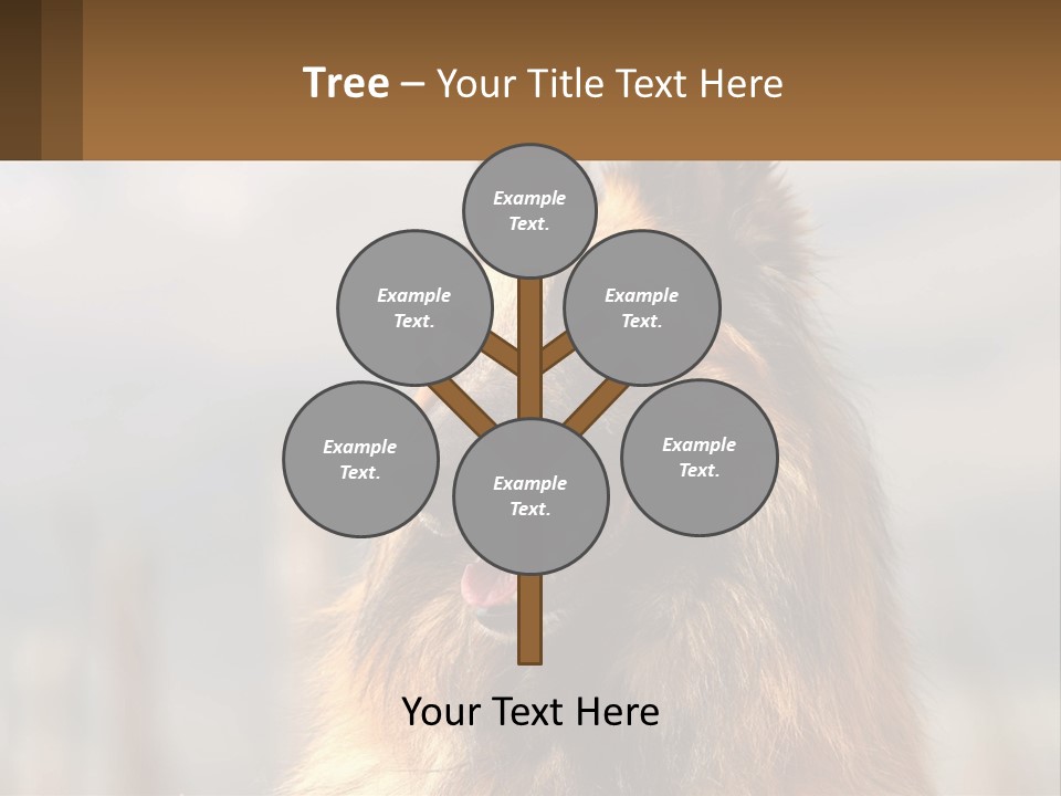 House Cooling Cold PowerPoint Template