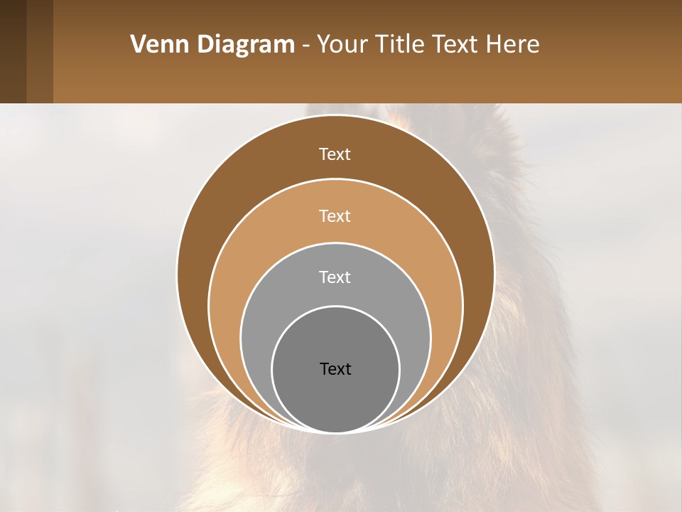 House Cooling Cold PowerPoint Template