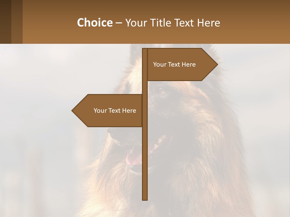 House Cooling Cold PowerPoint Template