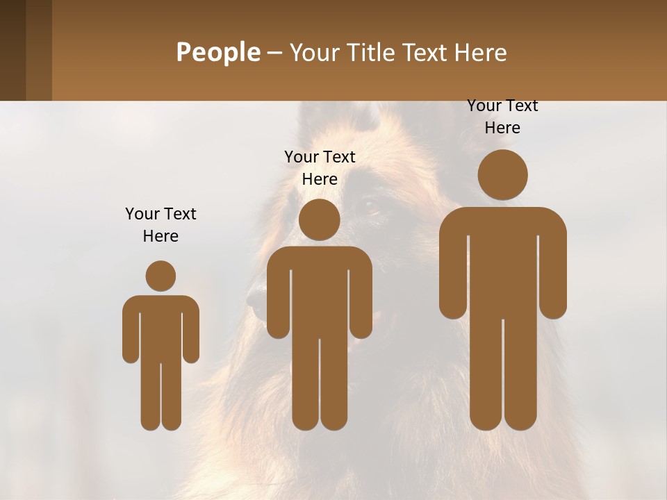 House Cooling Cold PowerPoint Template