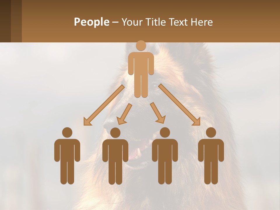 House Cooling Cold PowerPoint Template