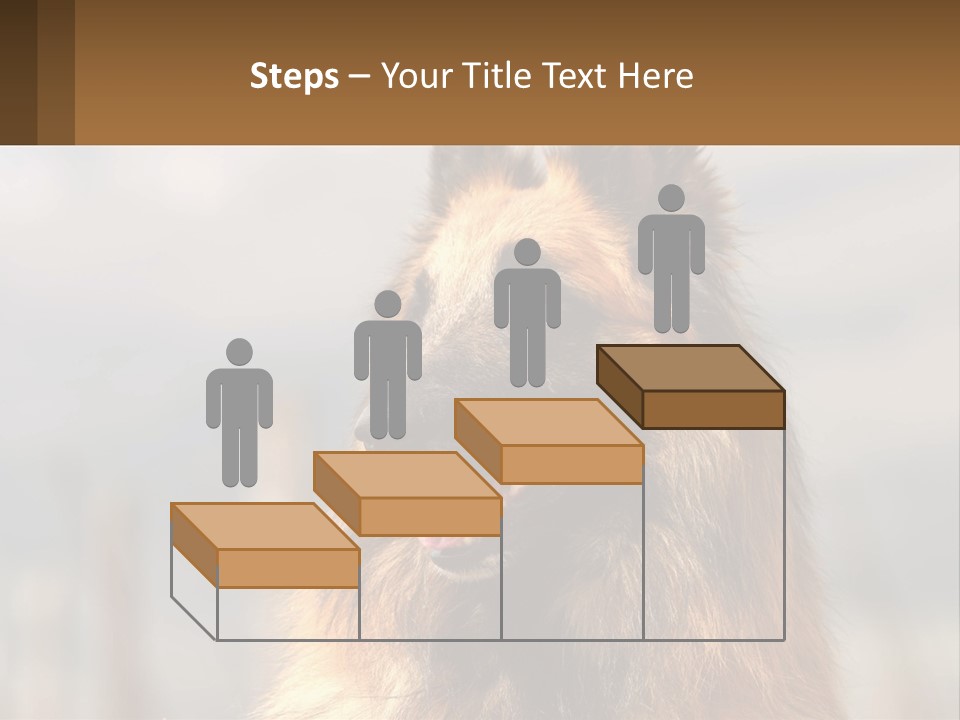 House Cooling Cold PowerPoint Template