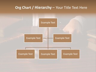 Heat Cold Electricity PowerPoint Template
