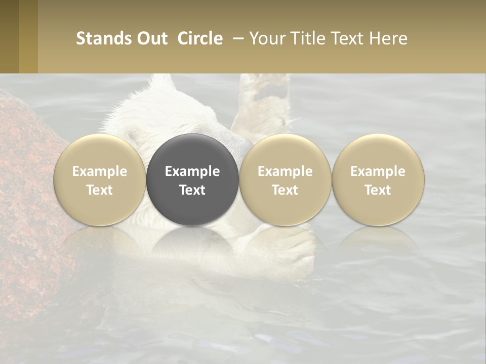 Electricity Industry Switch PowerPoint Template