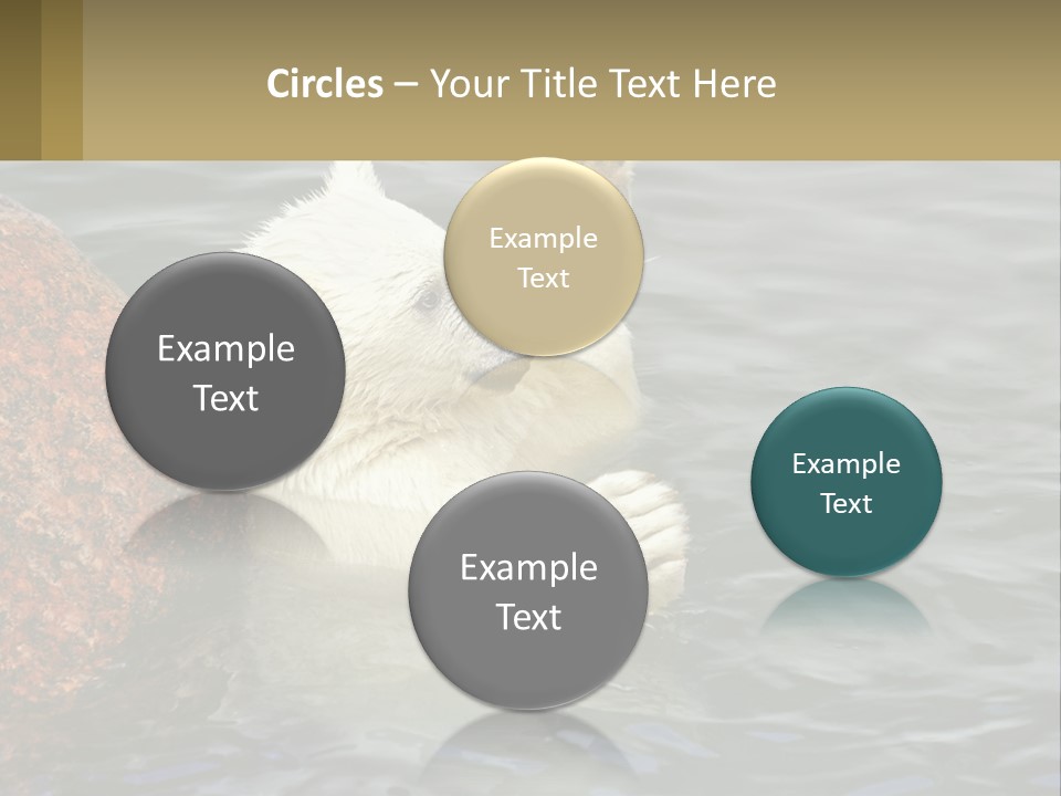 Electricity Industry Switch PowerPoint Template