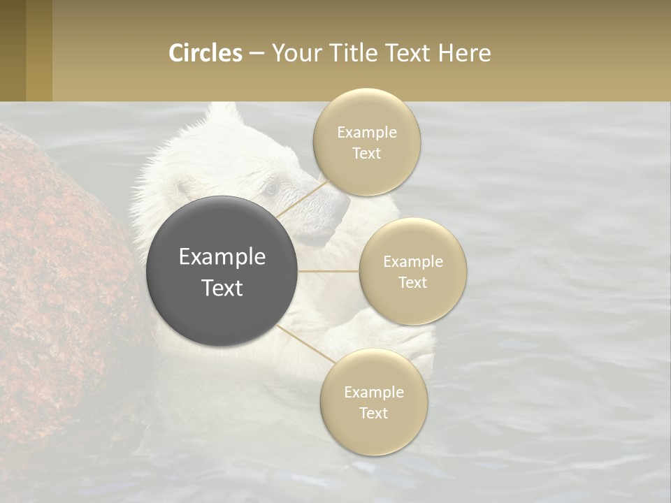 Electricity Industry Switch PowerPoint Template