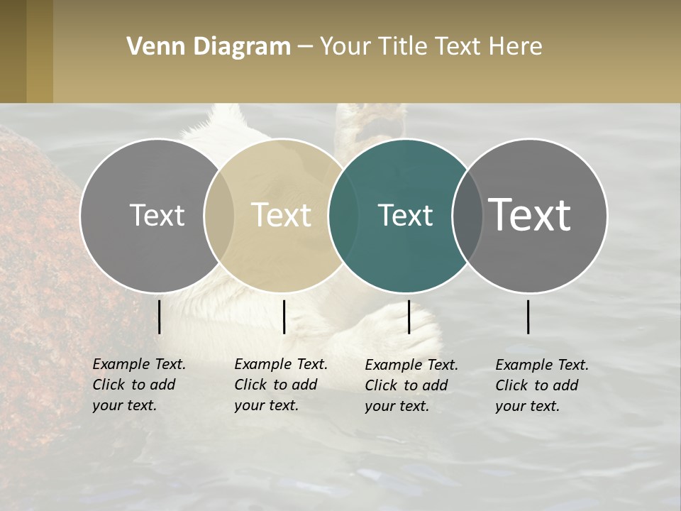 Electricity Industry Switch PowerPoint Template