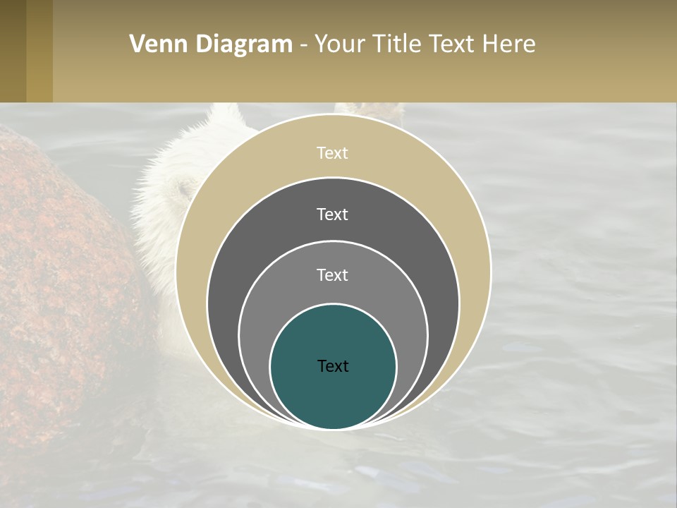 Electricity Industry Switch PowerPoint Template
