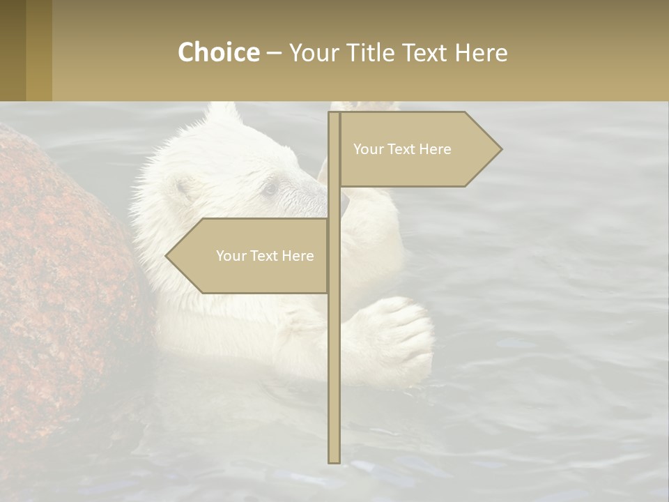 Electricity Industry Switch PowerPoint Template