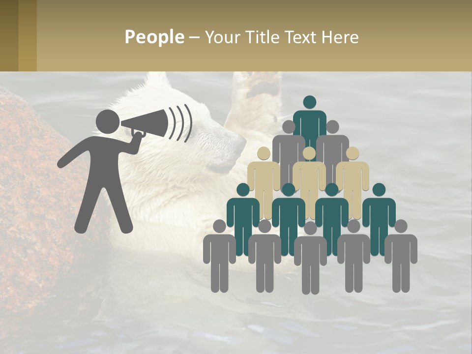 Electricity Industry Switch PowerPoint Template