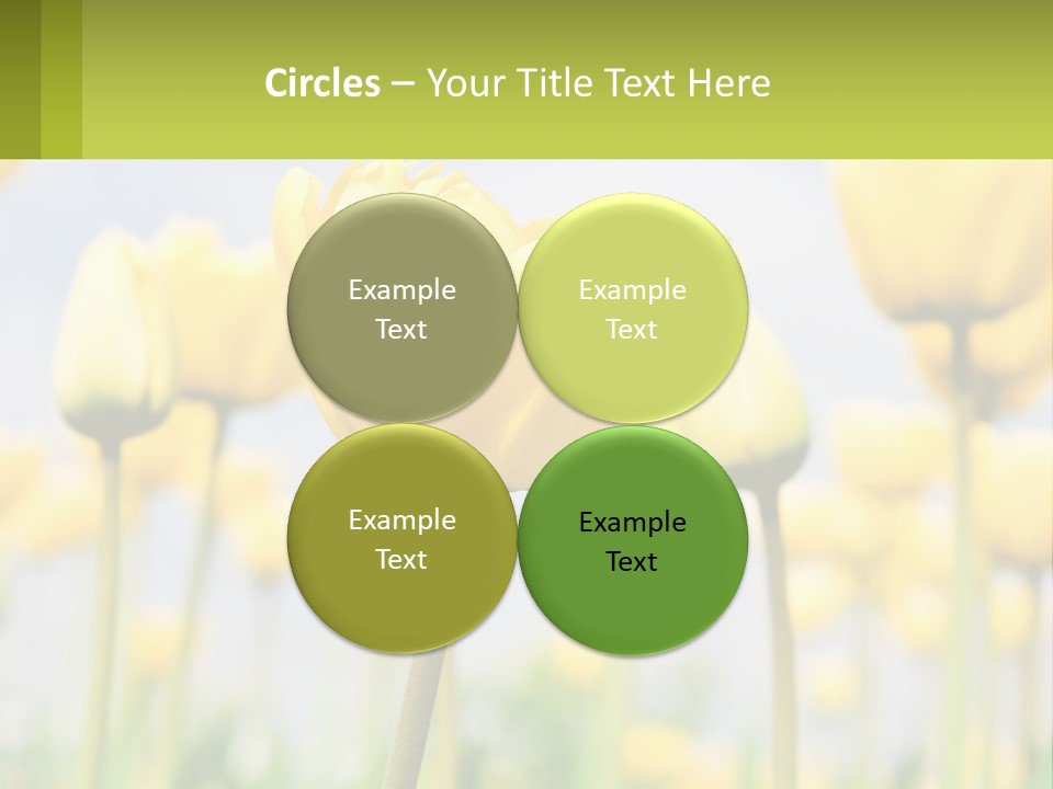 Industry Technology Condition PowerPoint Template