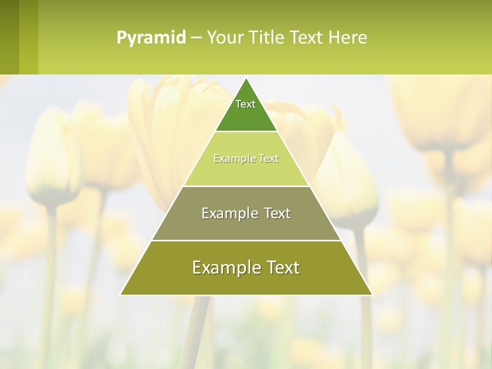 Industry Technology Condition PowerPoint Template