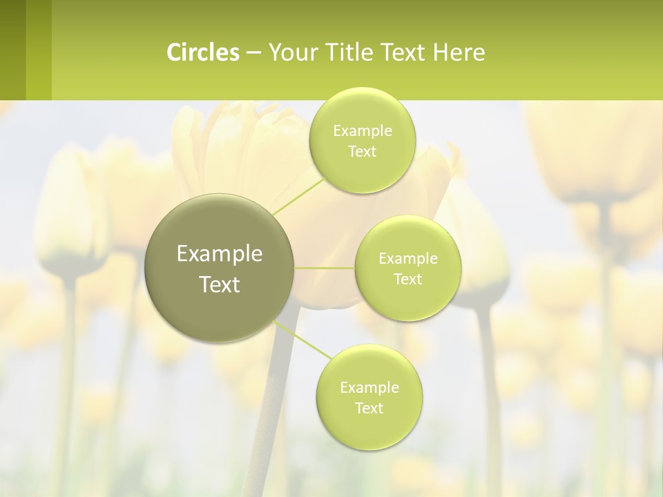Industry Technology Condition PowerPoint Template