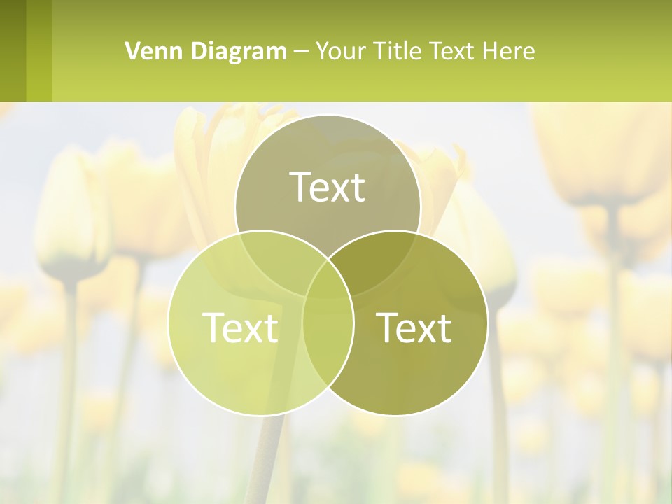 Industry Technology Condition PowerPoint Template