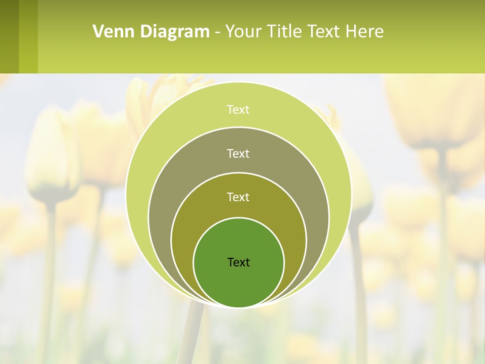 Industry Technology Condition PowerPoint Template