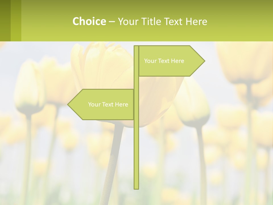 Industry Technology Condition PowerPoint Template