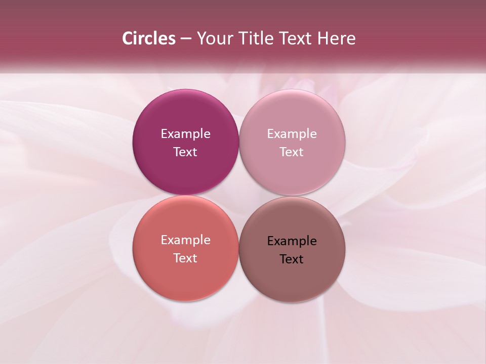 Unit White Condition PowerPoint Template