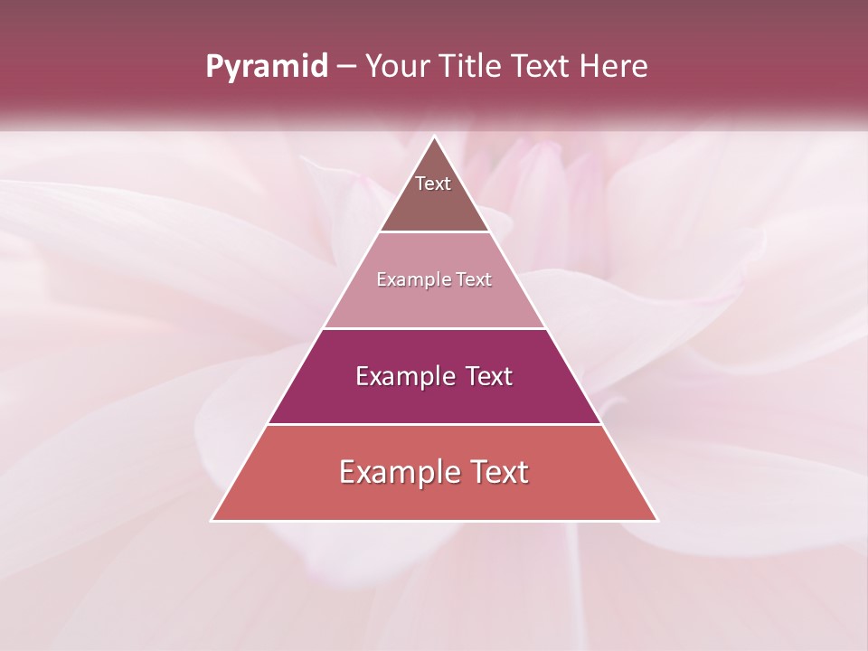 Unit White Condition PowerPoint Template