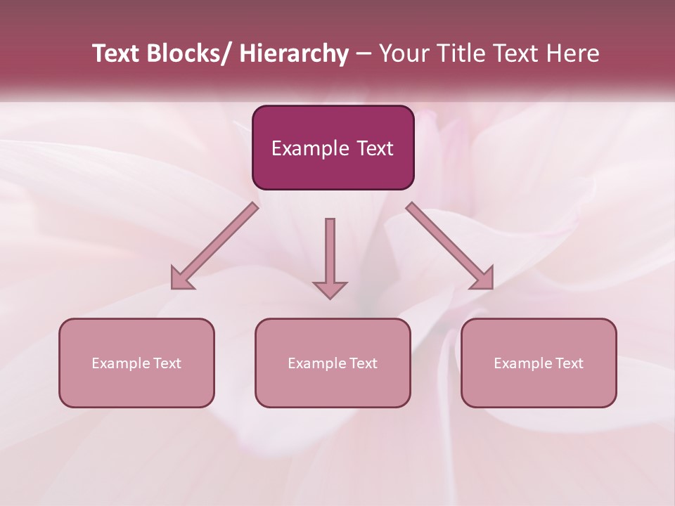 Unit White Condition PowerPoint Template
